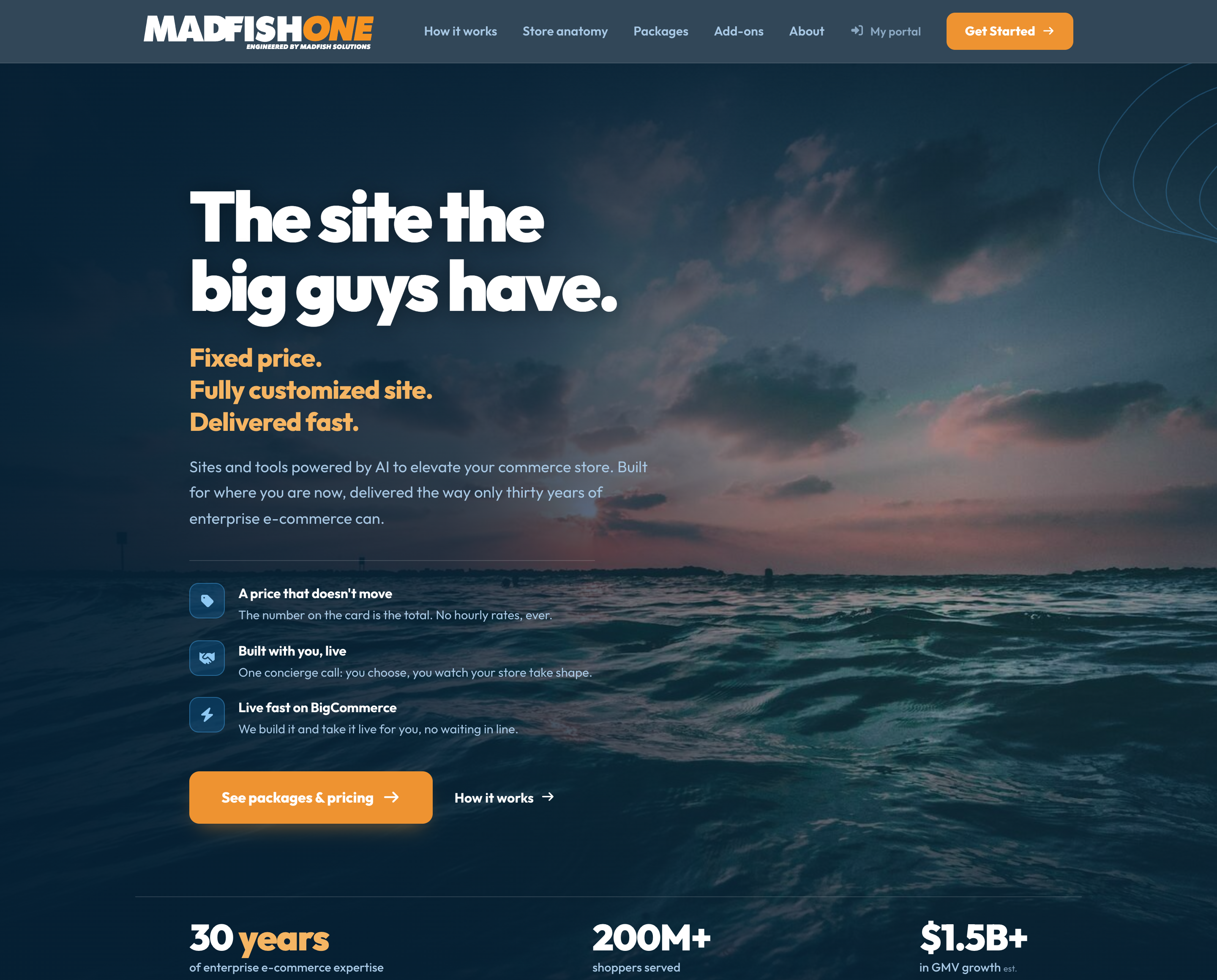 The MadFish One website